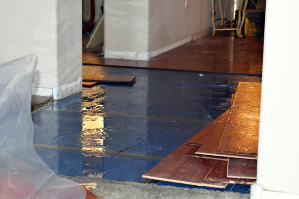 Professional Basement Flooding technician working in Bowler, WI